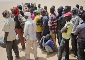 Algérie : expulsion de près de 16 000 migrants clandestins en deux mois vers le Niger Les ONG dénoncent les conditions