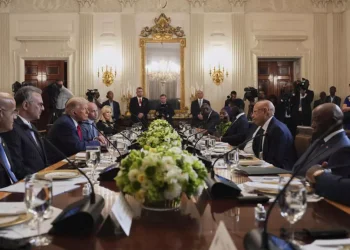 Devant Donald Trump, cinq présidents africains font étalage de la richesse de leurs sols